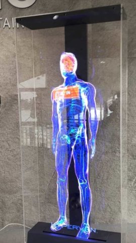 Holographic Human Body Holographic Human Body